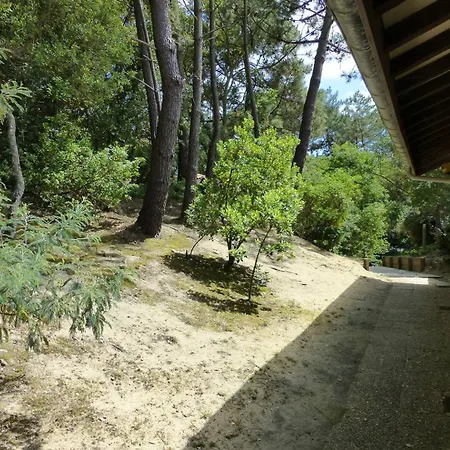 公寓 Hossegor Entre Et Ocean Les Dunes, Patio Pour 4 A 5 Personnes *
